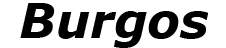 Burgos Wear Technology Co., Ltd. Retina Logo